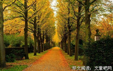 为什么我不主动追你了