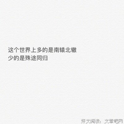 十有九悲的爱情