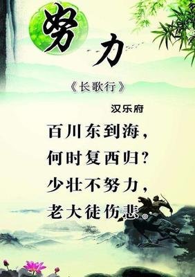 为什么不努力