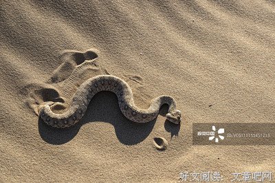 荒芜的背后