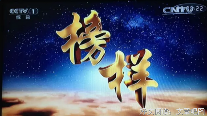观后感