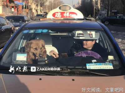 回家了