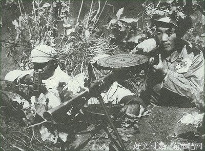 滚动的岁月