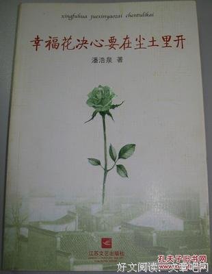 尘埃里的幸福
