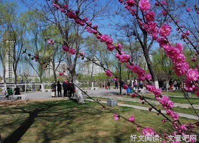 春天的思念