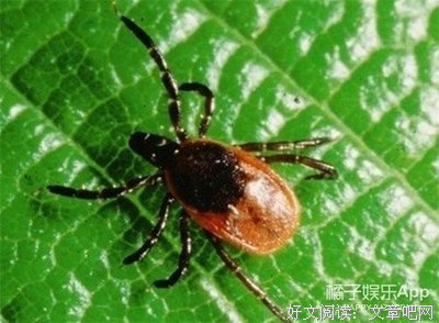 差点毁容