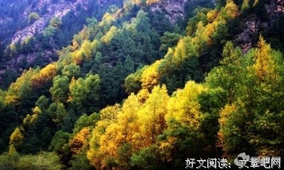 元甫