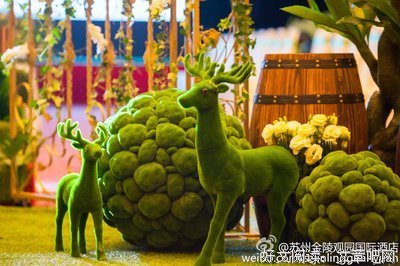 我们的童话