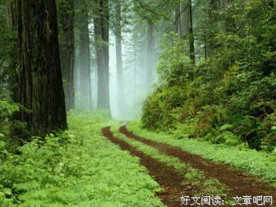 自己的生长