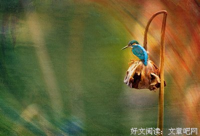 当你老了