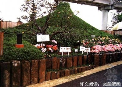 花台