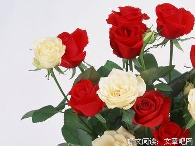 最爱的母亲