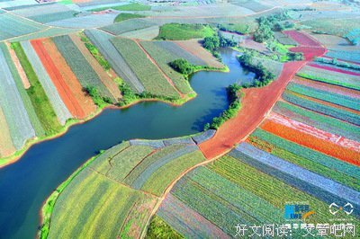 菠萝之乡