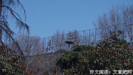 一个人的流浪