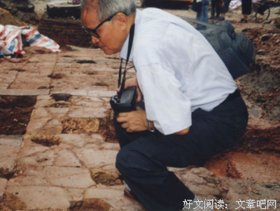 王二八的田野
