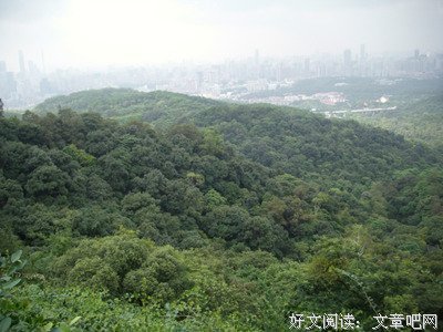 不得不走