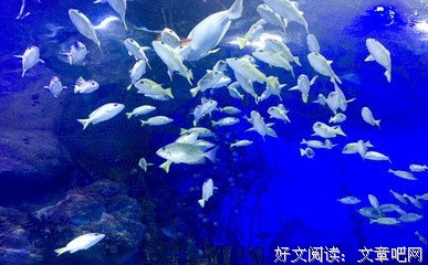 第一次去旅行