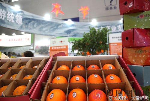 三峡品格