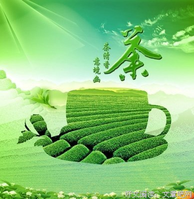 关于茶
