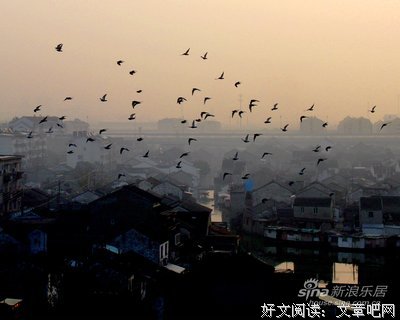 清晨
