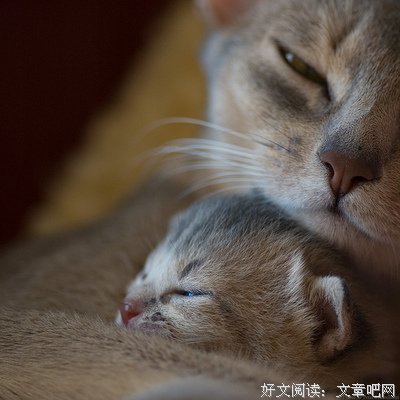 抱着我