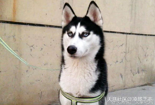 不能生气