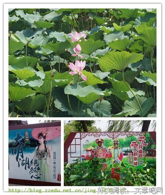 湖畔思