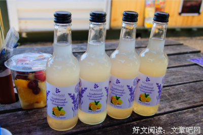活在回忆里