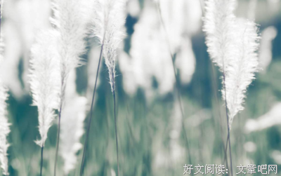 一个女人的去留