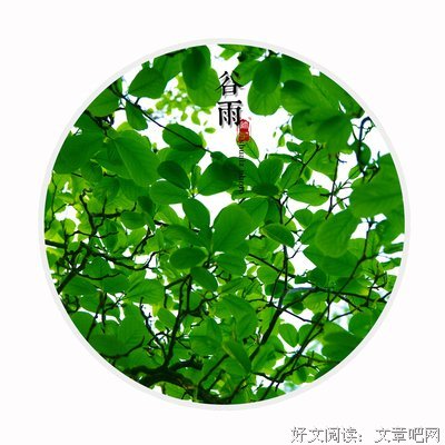 花妖谷雨