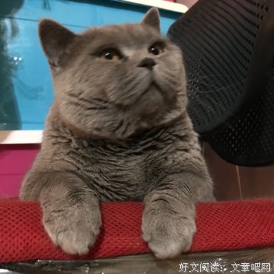 我家