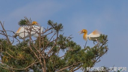 相逢