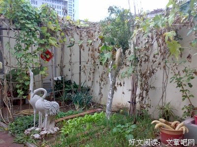 凉秋