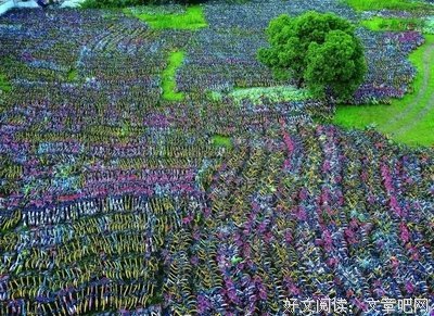 那辆自行车