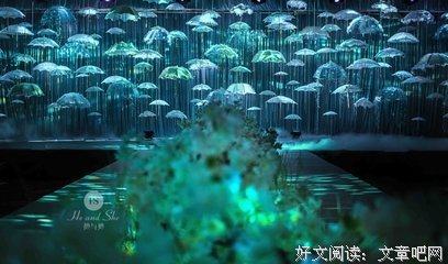 他与她