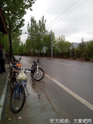 风雨度中槐花飞