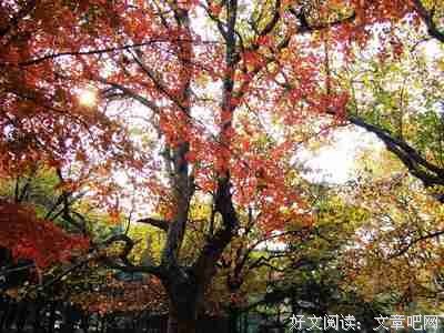 想说我爱你