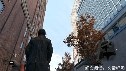 我的跛脚狗