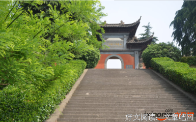 没妈的孩子是根草
