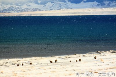 赛湖