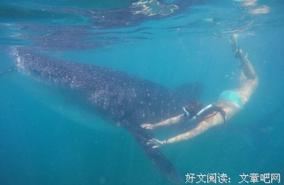宿雾中的菲律宾