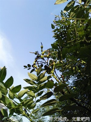 重“心”出发