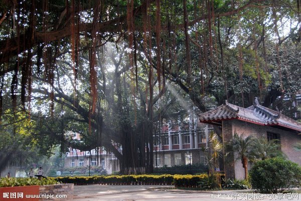 不思其义，只管前行 ——岭南师范学院旭升实践队杨文静实践心得