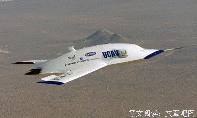 丛林的崛起