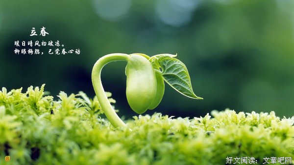 春天来了