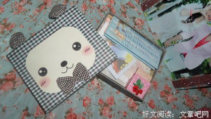偷看日记