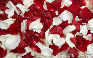《桃花扇》略感