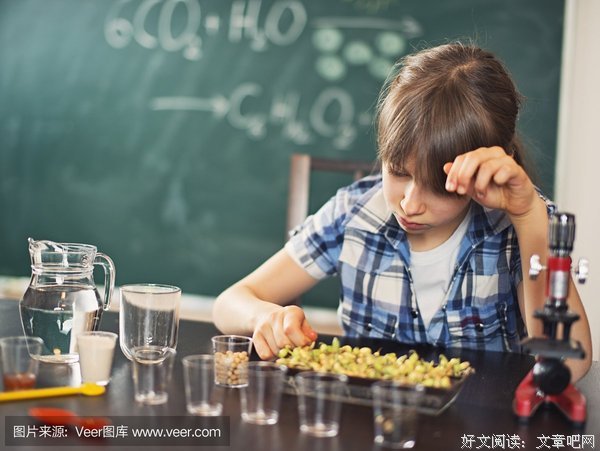 种子萌芽，是我的小幸运