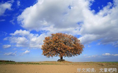 旅游后的思考