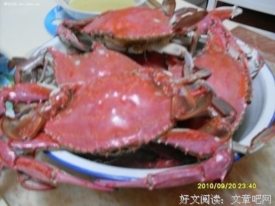 肥蟹